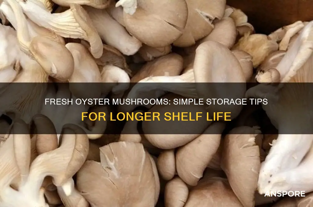 how to keep oyster mushrooms fresh
