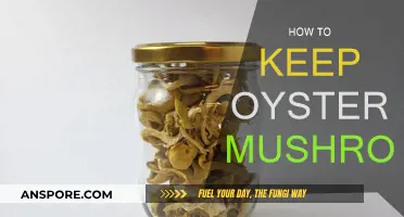 Storing Oyster Mushrooms: Tips for Longevity