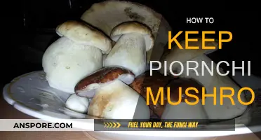 The Ultimate Guide: Storing Piornchini Mushrooms