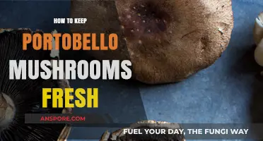 Preserve Portobello Perfection: Tips to Keep Mushrooms Fresh Longer