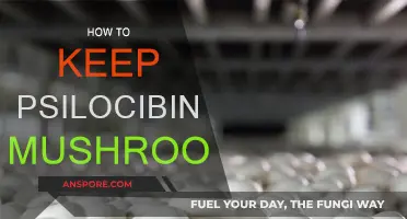Best Practices for Storing Psilocybin Mushrooms