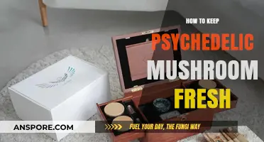 Preserving Psychedelic Mushrooms: Optimal Storage Tips for Freshness and Potency