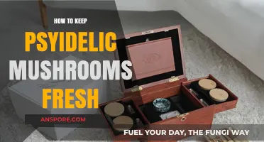 Preserving Psychedelic Mushrooms: Optimal Storage Tips for Freshness and Potency