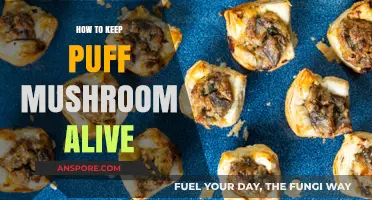 Mastering Puff Mushroom Care: Essential Tips for Longevity and Health