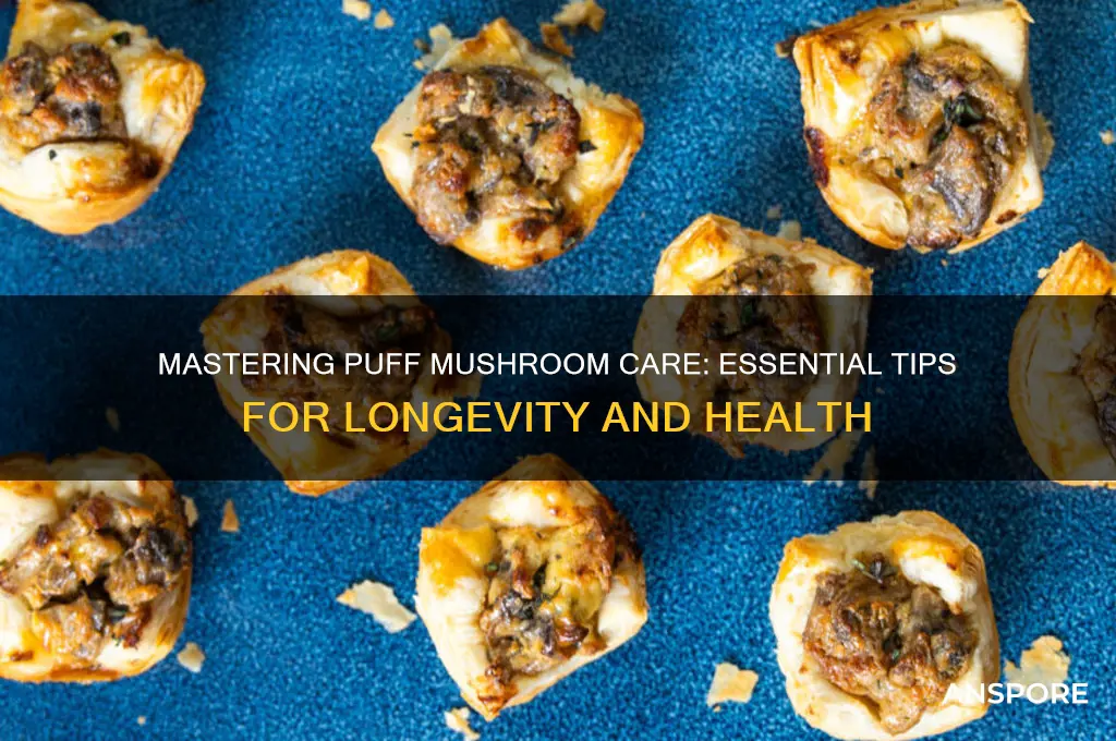 how to keep puff mushroom alive