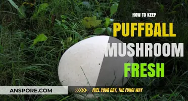 Preserving Puffball Mushrooms: Tips for Freshness and Longevity