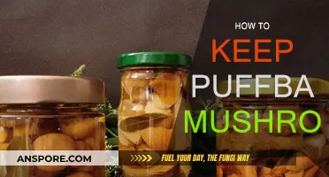 Preserving Puffball Mushrooms: Tips and Tricks