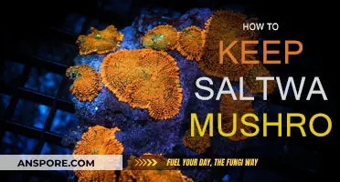 Saltwater Mushrooms: Preserving the Delicate Treat