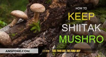 The Ultimate Guide: Storing Shiitake Mushrooms