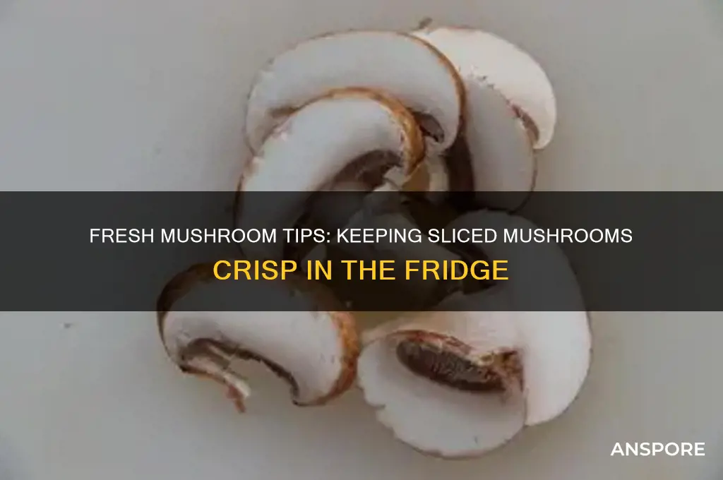 how to keep sliced mushrooms fresh in the refrigerator