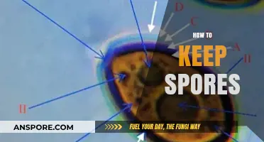 Effective Techniques for Preserving and Storing Spores Safely