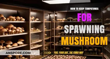 Mastering Mushroom Spawning: Optimal Temperature Control Techniques Revealed