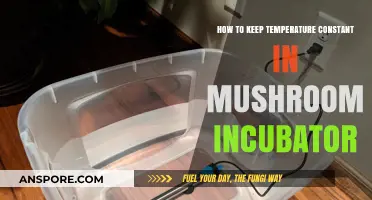Maintaining Optimal Mushroom Growth: Tips for Stable Incubator Temperatures