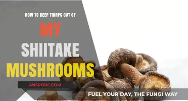 Protect Your Shiitake Mushrooms: Effective Strategies to Deter Thrips
