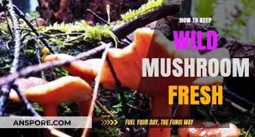 Preserving Wild Mushrooms: Freshness Tips for Optimal Flavor and Texture