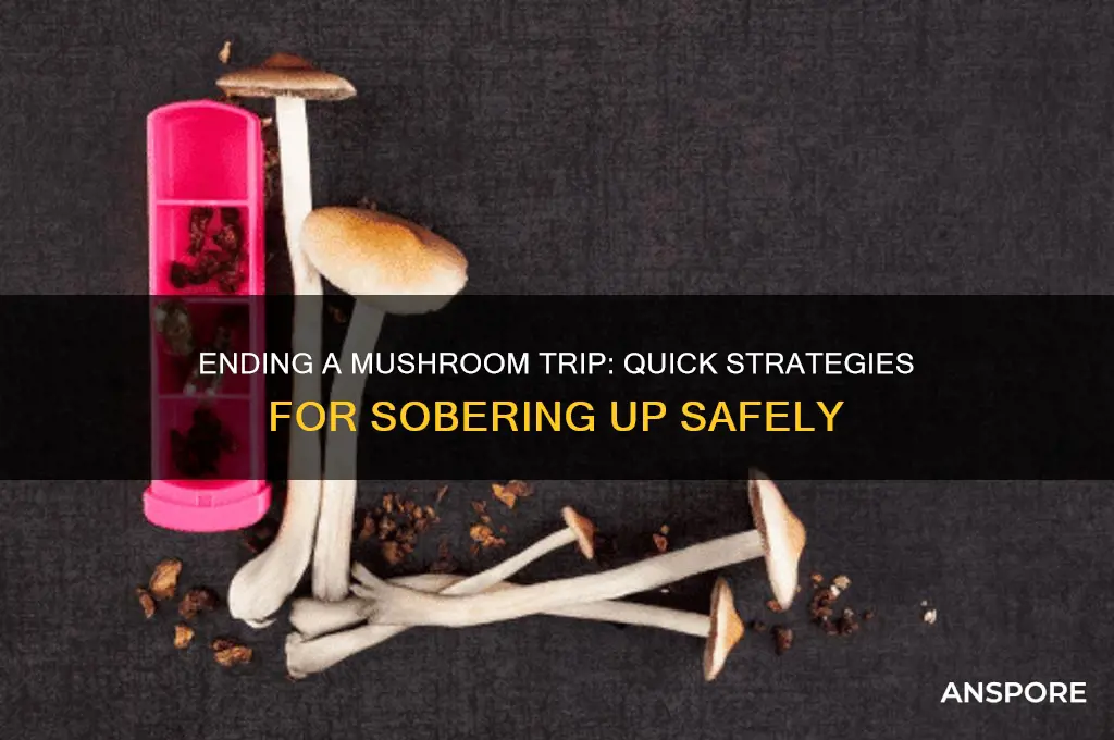 how to kill a mushroom trip