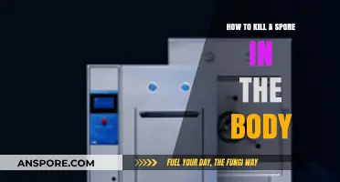 Effective Strategies to Eliminate Spores in the Human Body