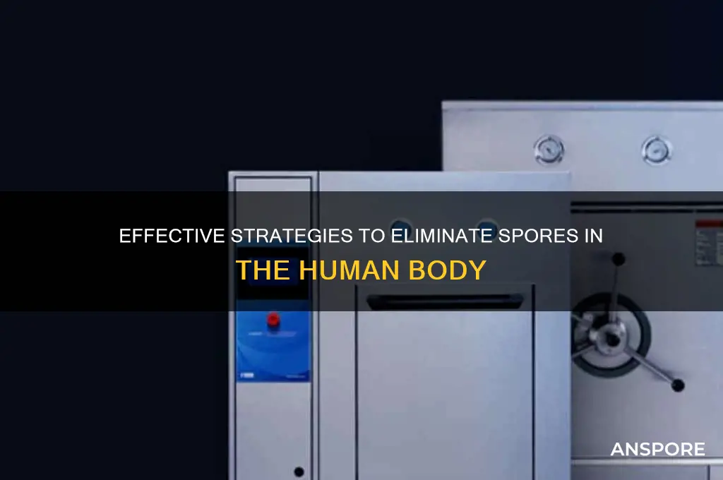 how to kill a spore in the body