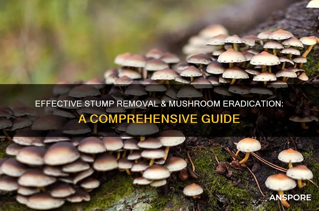 how to kill a stump & mushrooms