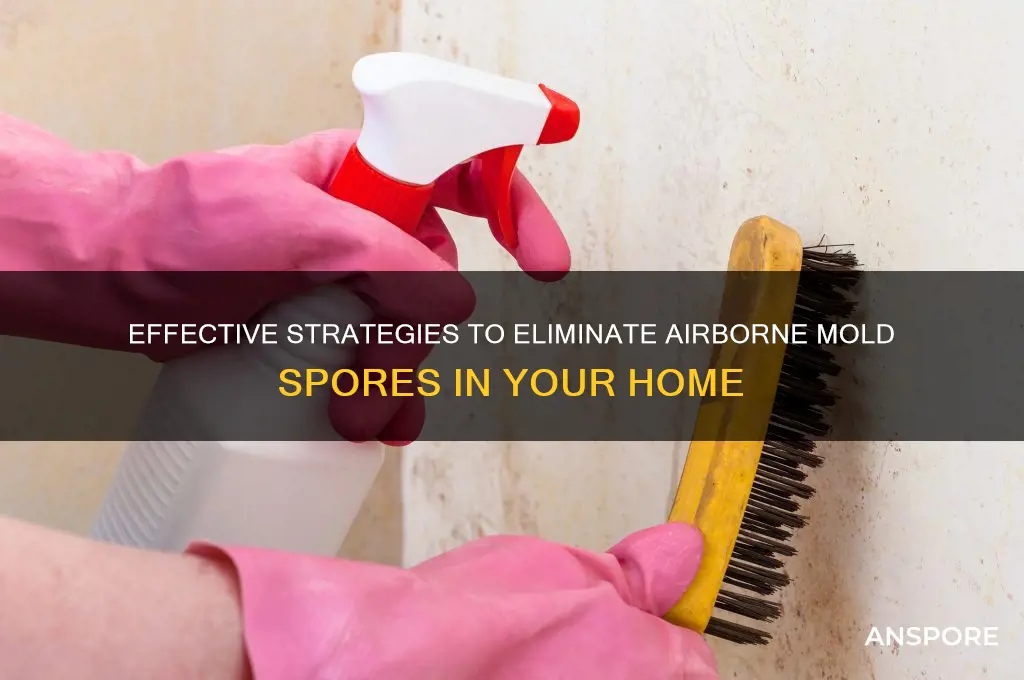 how to kill airborn mold spores