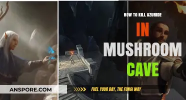 Mastering Mushroom Cave: Effective Strategies to Defeat Azuride