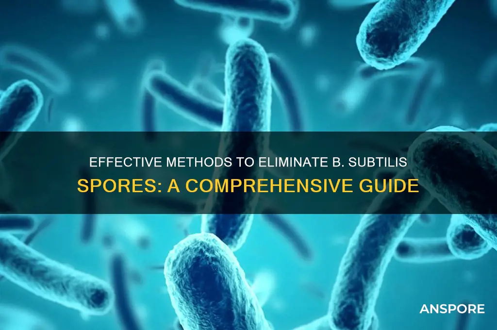 how to kill b subtillis spores