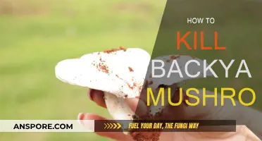 Get Rid of Backyard Mushrooms: A Step-by-Step Guide