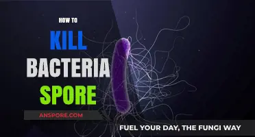 Effective Methods to Eradicate Bacteria Spores: A Comprehensive Guide