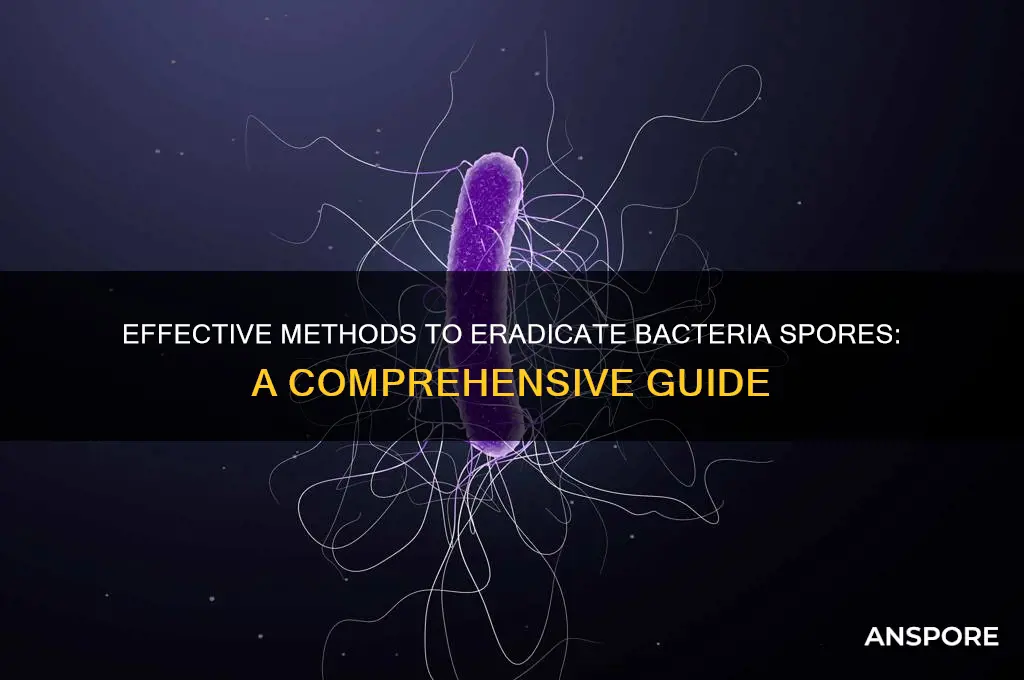 how to kill bacteria spore