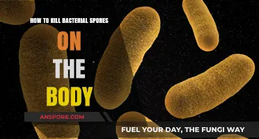Effective Strategies to Eliminate Bacterial Spores on Your Skin Safely