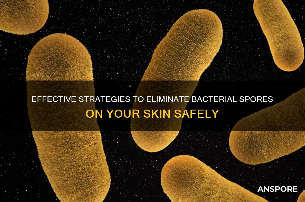 how to kill bacterial spores on the body