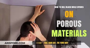 Effective Methods to Eliminate Black Mold Spores on Porous Surfaces