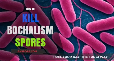 Effective Strategies to Eradicate Bochalism Spores Safely and Permanently
