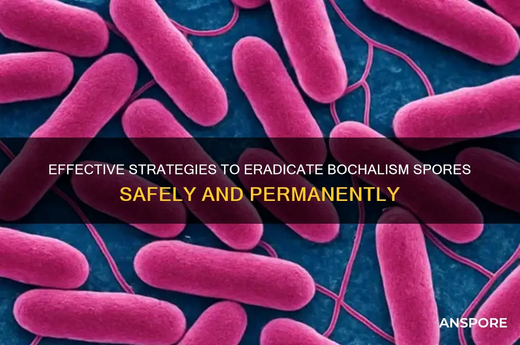 how to kill bochalism spores