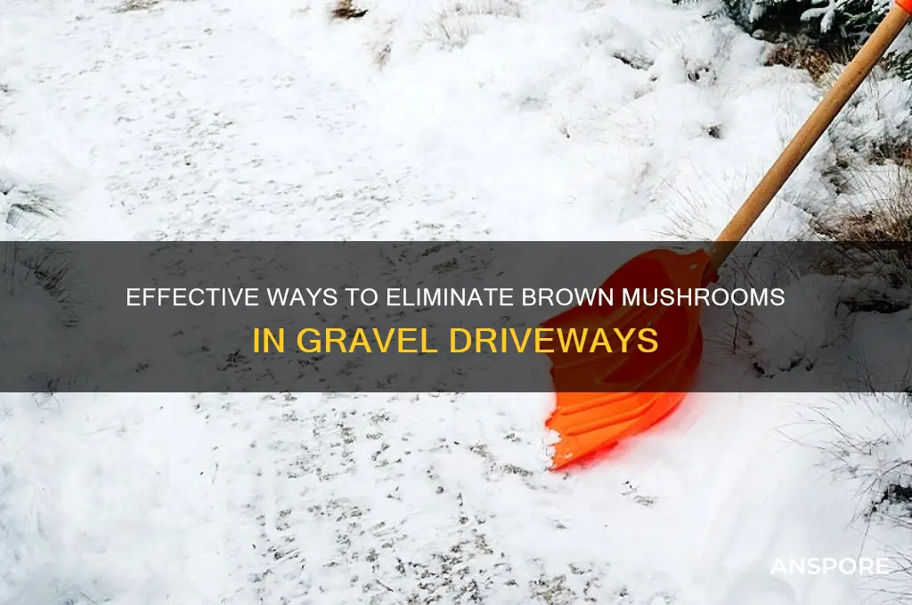 how to kill brown mushroom growing in gravel driveways
