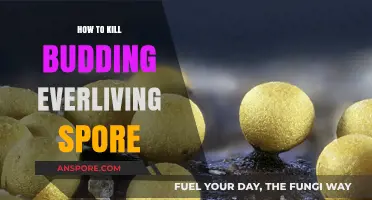 Effective Strategies to Eradicate Budding Everliving Spores Permanently