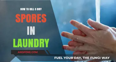 Effective Laundry Techniques to Eliminate C. Diff Spores Safely