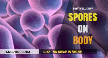Effective Ways to Eradicate C. Diff Spores from Your Body Safely