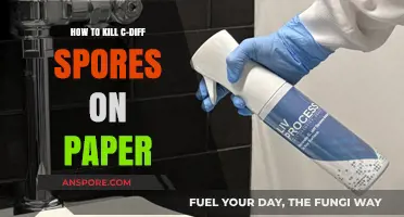 Effective Methods to Eradicate C-Diff Spores on Paper Surfaces