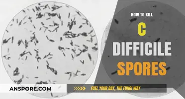 Effective Strategies to Eradicate C. Difficile Spores: A Comprehensive Guide