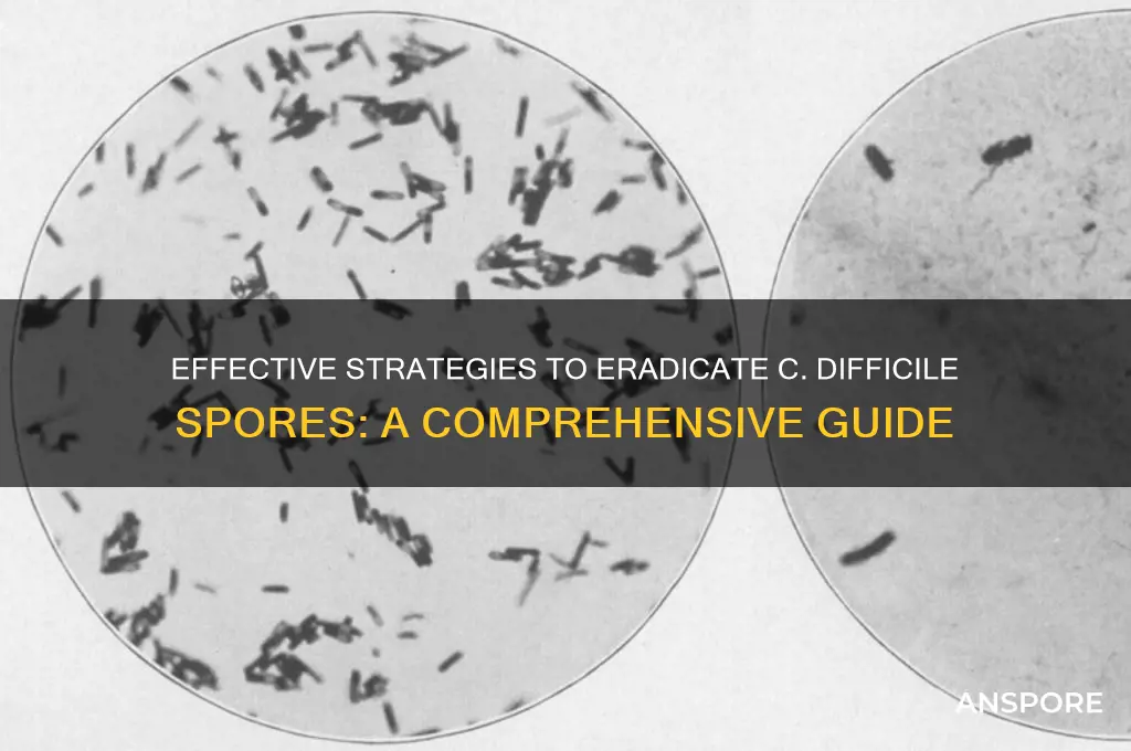 how to kill c difficile spores