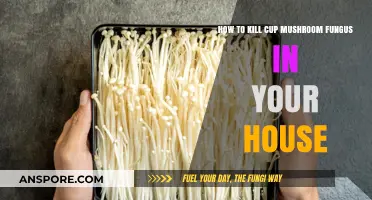 Effective Ways to Eliminate Cup Mushroom Fungus in Your Home