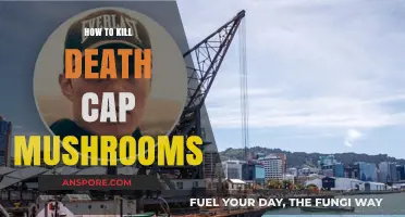 Effective Methods to Eradicate Deadly Death Cap Mushrooms Safely