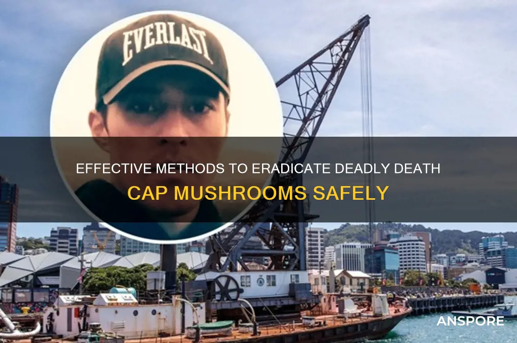 how to kill death cap mushrooms