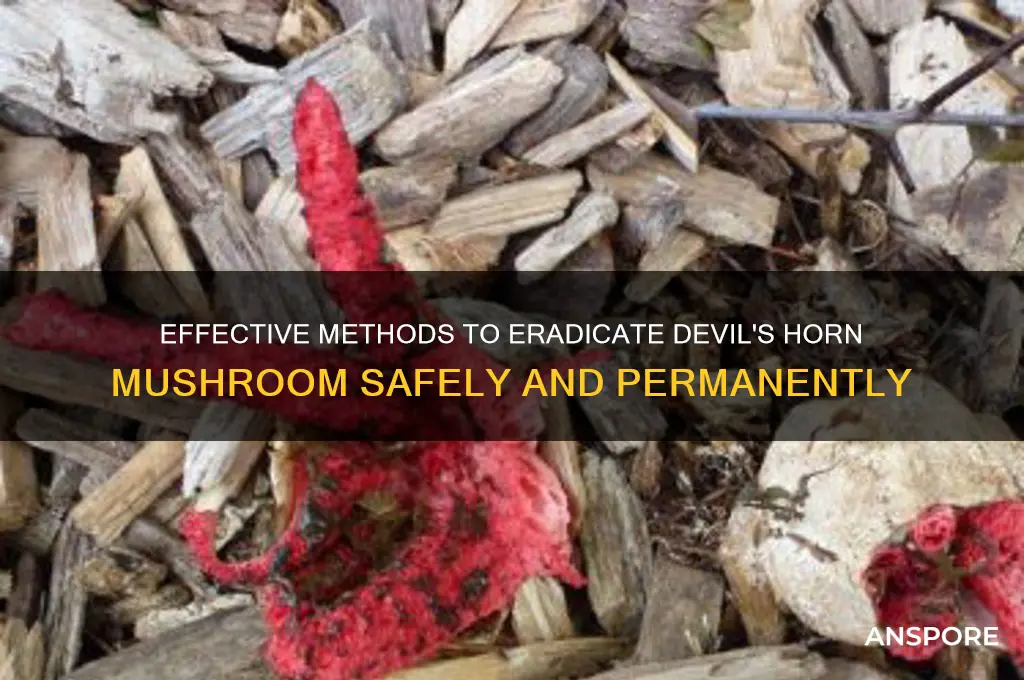 how to kill devil horn mushroom