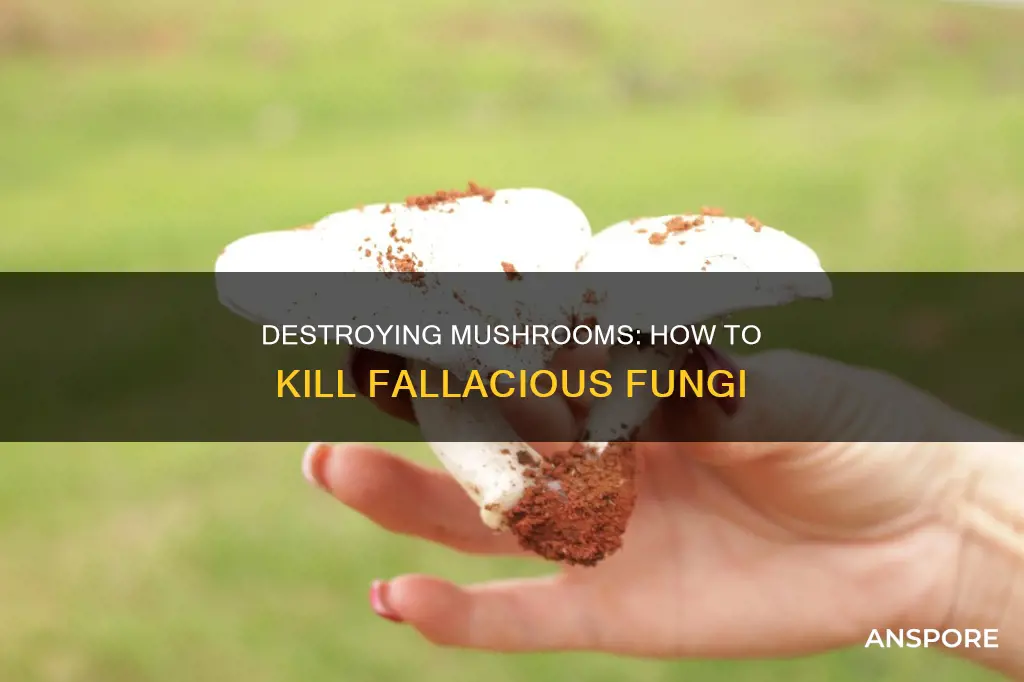how to kill fallacious mushrooms