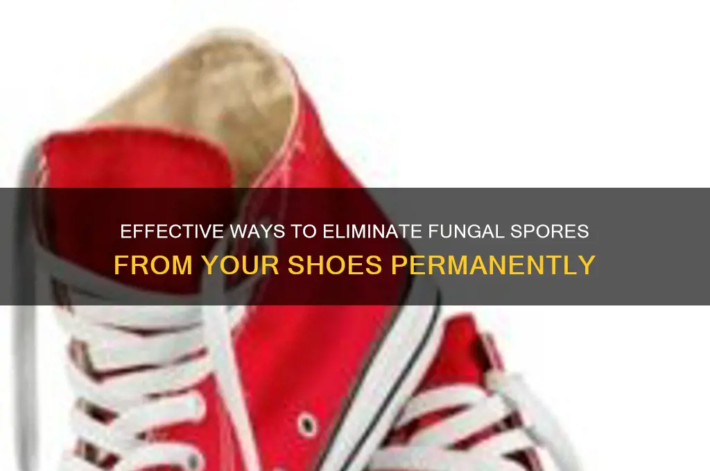 how to kill fungal spores in shoes
