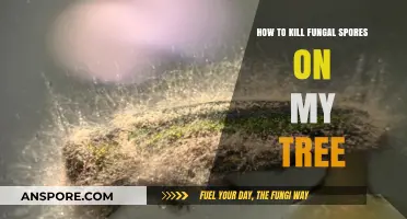 Effective Methods to Eradicate Fungal Spores on Your Tree
