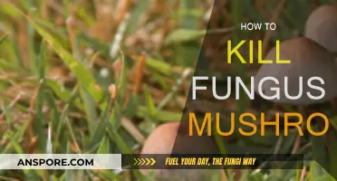 Destroying Fungus Mushrooms: A Step-by-Step Guide