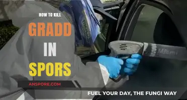 Mastering Spores: Effective Strategies to Eliminate Gradd Infestations